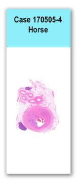 Case 170317-4