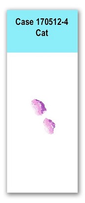 Case 170512-4