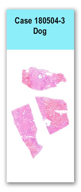 Case 180504-3