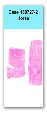 Case 180727-2
